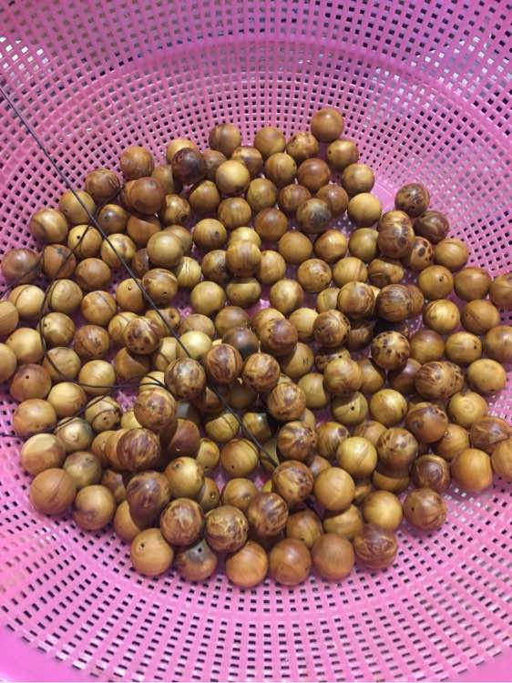 xiongmao体育|
中乙最新积分榜:2支升班马领跑 学生军逆转4轮不败 毅腾首胜(图11) 熊猫体育