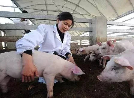 送姚司法归吴【熊猫体育】