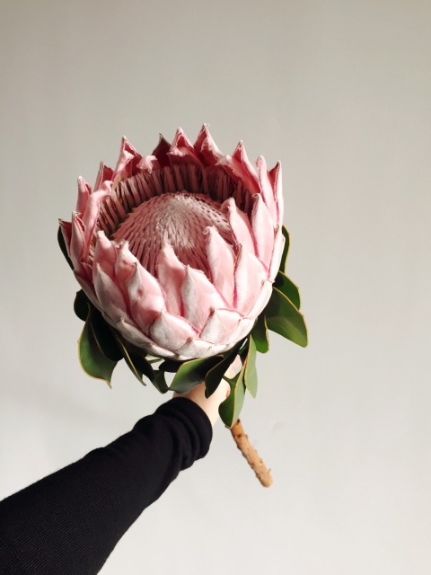 panda sports_
伟大的6(图5) xiongmao体育