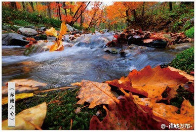 2021不平凡!中超更名不顺,中甲10队资金难题,国足遭暴击:熊猫体育(图1) 熊猫体育