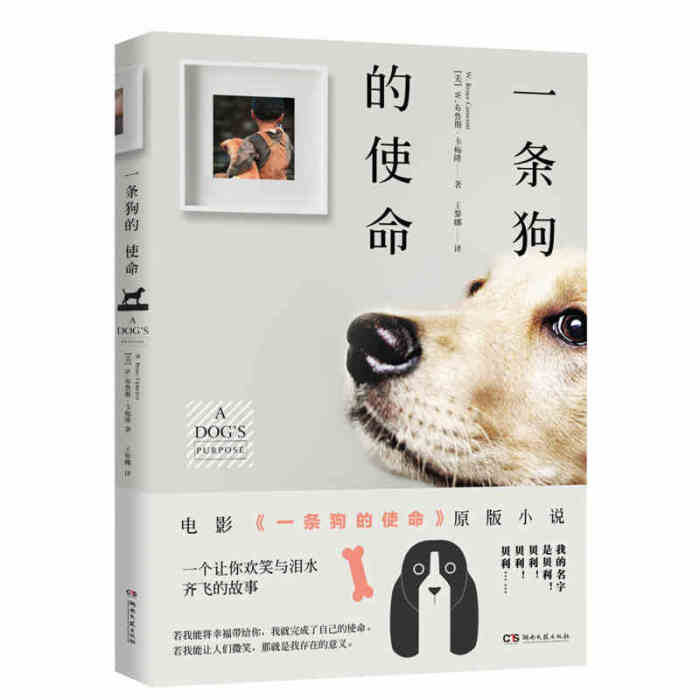 银行全员营销培训心得体会|熊猫体育(图2) xiongmao体育